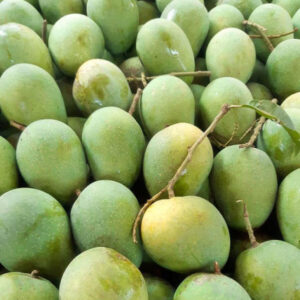 প্রিমিয়াম হিম সাগর আম ১০ কেজি প্যাক + হোম ডেলিভারি